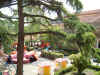 giardino dall'alto2.jpg (251923 byte)
